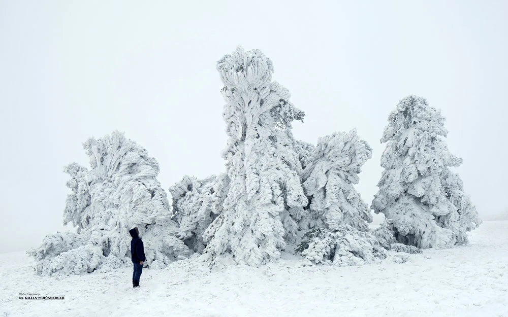 Below Zero: Adventures Out in the Cold